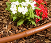 Linea gocciolante originale Hydrobloom Irrigation (Israele) – Linea gocciolante non compensata da 8 mm